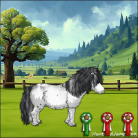 Horse Color:White Spotted Bay Chinchilla 