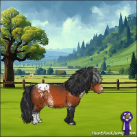 Horse Color:White Spotted Bay Appaloosa