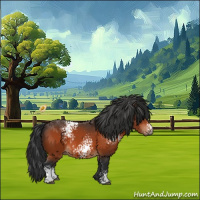 Horse Color:White Spotted Brown 