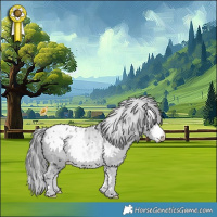 Horse Color:White Spotted Bay Chinchilla Appaloosa