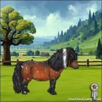 Horse Color:White Spotted Brown 
