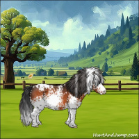 Horse Color:White Spotted Bay Appaloosa 