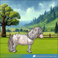 Horse Color:White Spotted Bay Appaloosa