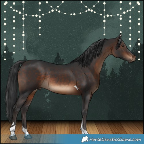 Horse Color:Brown Tobiano Rabicano 