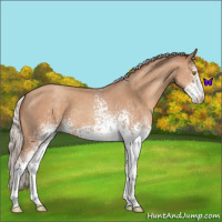 Horse Color:White Spotted Silver Classic Champagne 