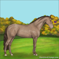 Horse Color:Classic Champagne 