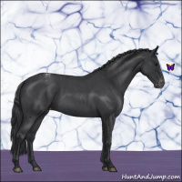 Horse Color:Blue Roan Varnish Rabicano 