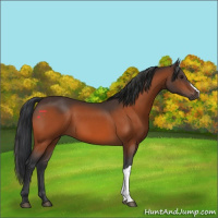 Horse Color:Brown 