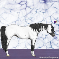 Horse Color:Blue Roan Near Fewspot 