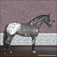 Horse Color:White Spotted Blue Roan Snowflake Varnish 