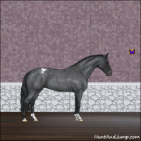 Horse Color:Blue Roan Varnish 