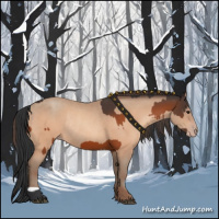 Horse Color:Brown Rabicano  and Sable Champagne Rabicano 