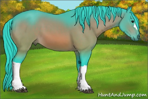Horse Color:Watercolor Bay 
