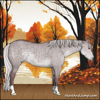 Horse Color:Chocolate Silver Grullo Chinchilla 