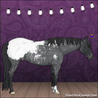 Horse Color:Blue Roan Snowcap 