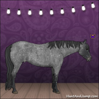 Horse Color:Blue Roan Snowflake Varnish 