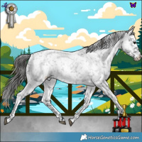 Horse Color:Blue Roan Snowflake Varnish 