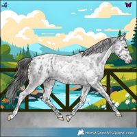 Horse Color:Blue Roan Snowflake Varnish 