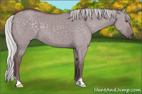 Horse Color:Chocolate Grullo Chinchilla 