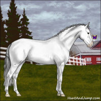 Horse Color:White Spotted Blue Roan Splash Appaloosa 