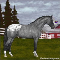 Horse Color:Blue Roan Snowflake Varnish 
