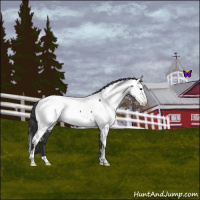 Horse Color:Blue Roan Sabino Near Fewspot 