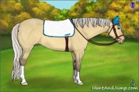 Horse Color:Silver Buckskin Dun