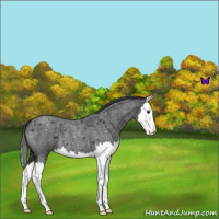 Horse Color:Blue Roan Splash Snowflake Varnish 