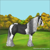 Horse Color:Black Splash Tobiano