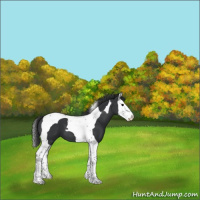 Horse Color:Black Splash Tobiano 