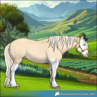 Horse Color:Palomino Dun Splash 