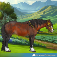 Horse Color:Brown 