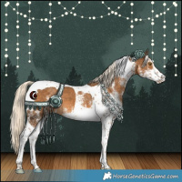 Horse Color:White Spotted Chocolate Palomino Tobiano 