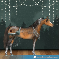 Horse Color:White Spotted Buckskin Tobiano Rabicano 