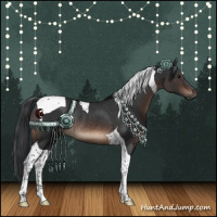 Horse Color:Brown Tobiano Rabicano 