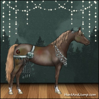 Horse Color:Liver Chestnut Sabino Rabicano 