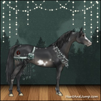 Horse Color:White Spotted Black Frame 