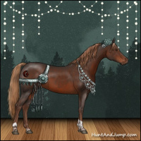 Horse Color:Liver Chestnut Tobiano Rabicano