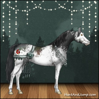 Horse Color:White Spotted Brown Rabicano 