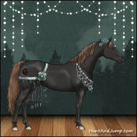 Horse Color:Liver Chestnut Sabino Rabicano