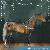 Horse Color:White Spotted Silver Buckskin Tobiano 