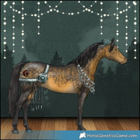 Horse Color:White Spotted Buckskin 