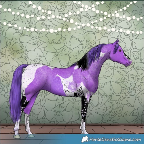 Horse Color:Watercolor Bay Tobiano 