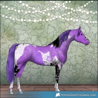 Horse Color:Watercolor Bay Tobiano 