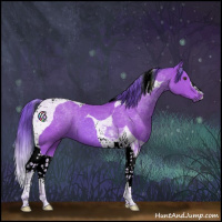 Horse Color:Watercolor Bay Tobiano 