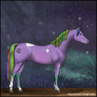 Horse Color:Painted Watercolor Bay Tobiano Rabicano 