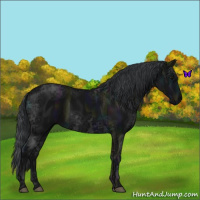 Horse Color:Midnight Black Ice Rabicano 
