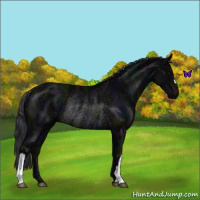 Horse Color:Midnight Black Rabicano 