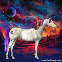 Horse Color:Painted White Spotted Bay Ice Dun Tobiano Rabicano 