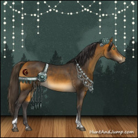 Horse Color:Buckskin Sabino Tobiano Rabicano 